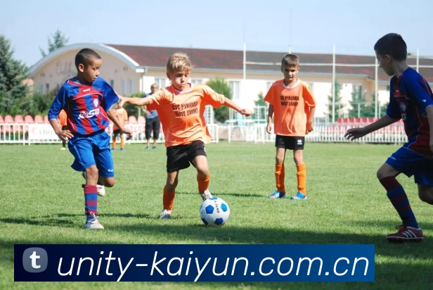 开云 (kaiyun)发展历程